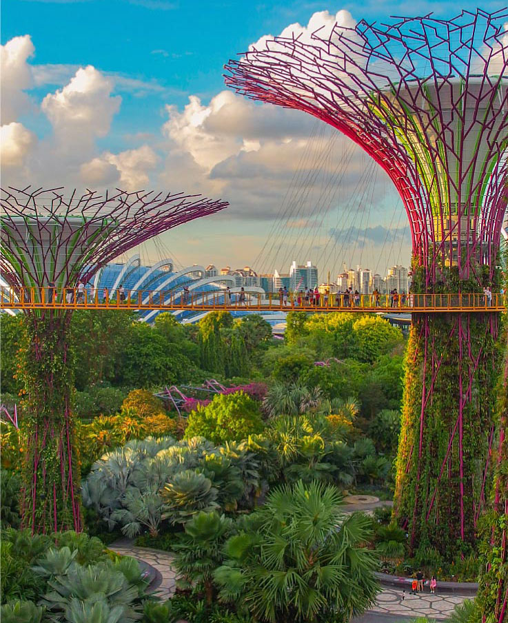 Super Tree Grove Super Tree Grove